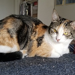 Photo of Rosie