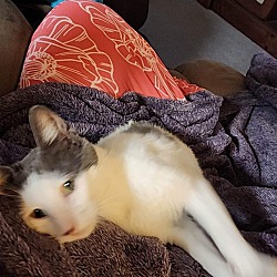 Photo of Monte