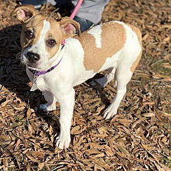 Thumbnail photo of Lexi Leigh~adopted! #3