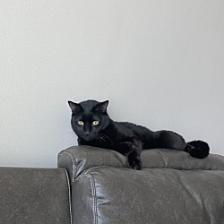 Photo of Munchi