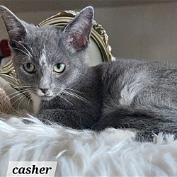 Photo of Casher