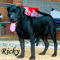 Thumbnail photo of Ricky ~ meet me! #1