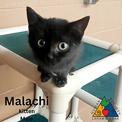 Thumbnail photo of Malachi #1
