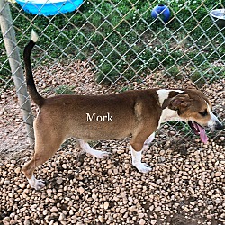 Thumbnail photo of Mork #3