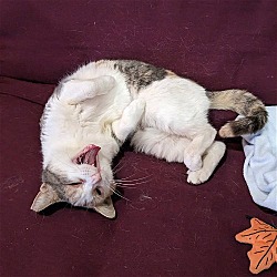 Photo of Annabelle