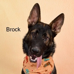 Photo of Brock