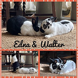 Photo of Walter and Edna