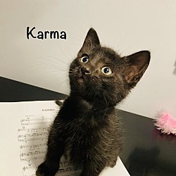 Thumbnail photo of Karma #1