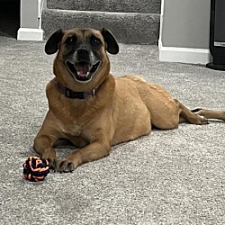 Photo of Amber