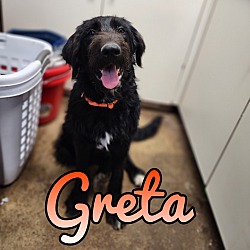 Photo of Greta