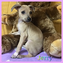 Thumbnail photo of Jerry #1