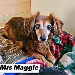 Photo of Mrs Maggie