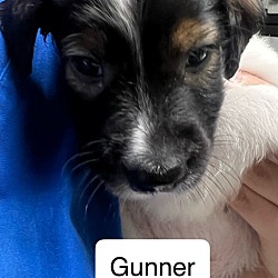 Thumbnail photo of Gunner B402 #1