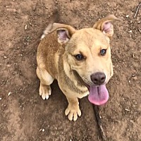 post animal refuge center