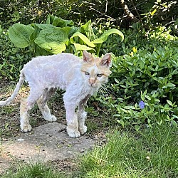 Photo of Marty (little old man)