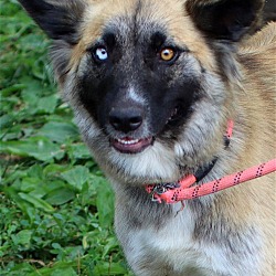 Photo of Kozy