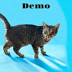 Thumbnail photo of Demo #1