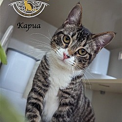 Thumbnail photo of Kapua #2