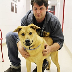 Thumbnail photo of Turner-Prison Dog #3