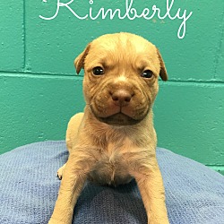 Photo of Kimberly