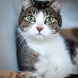 Photo of Boots
