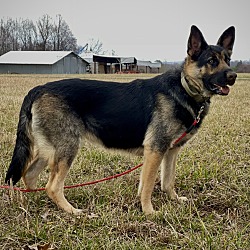 Photo of Mia