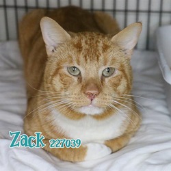 Photo of ZACK