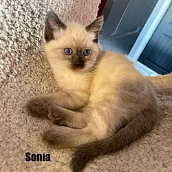Photo of Sonia