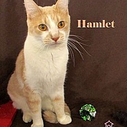 Thumbnail photo of Hamlet #3