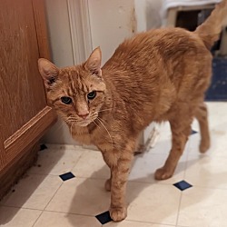 Photo of Butter - In Foster