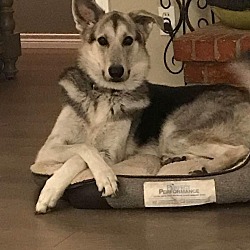 Photo of Chloe