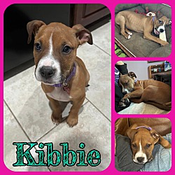 Photo of Kibbie