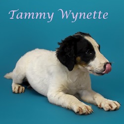 Thumbnail photo of Tammy Wynette D24-140 #1