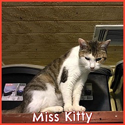 Partners For Pets Marianna, Fl in Marianna, Florida
