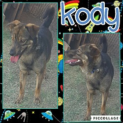 Thumbnail photo of Kody #2