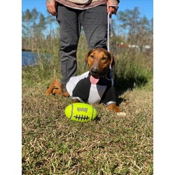Photo of VESPER