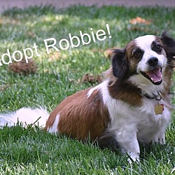 Thumbnail photo of Robbie #1