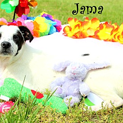 Thumbnail photo of Jama~adopted! #1