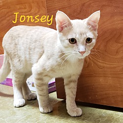 Thumbnail photo of JONSEY #1