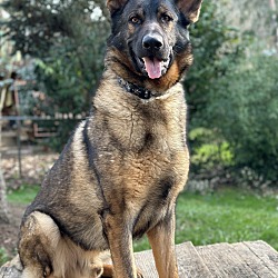Photo of Denver