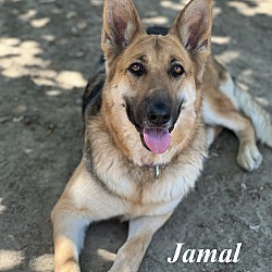 Thumbnail photo of Jamal #1