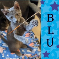 Photo of Blu