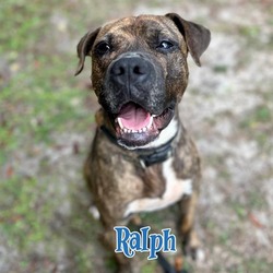 Photo of RALPH