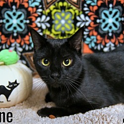 Thumbnail photo of Sloane #1