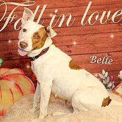 Thumbnail photo of Belle~adopted! #2