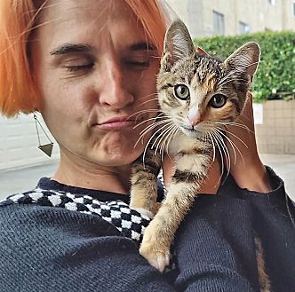 Adopt A Pet PetSmart Charities