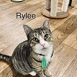 Thumbnail photo of Rylee #2