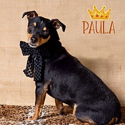 Photo of Paula