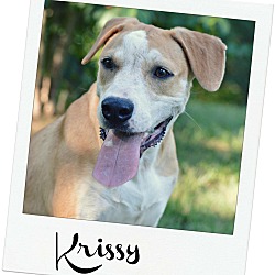 Thumbnail photo of Krissy~ loves water ~ meet me! #2