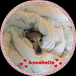 Thumbnail photo of Annabelle #4